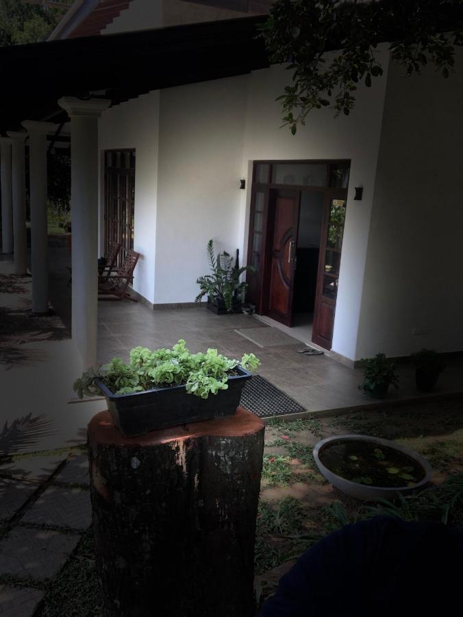 Kandyan Lounge Kiribathkumbura Exterior photo